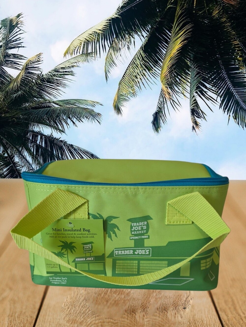 Trader Joe's Mini Insulated Bag-Green